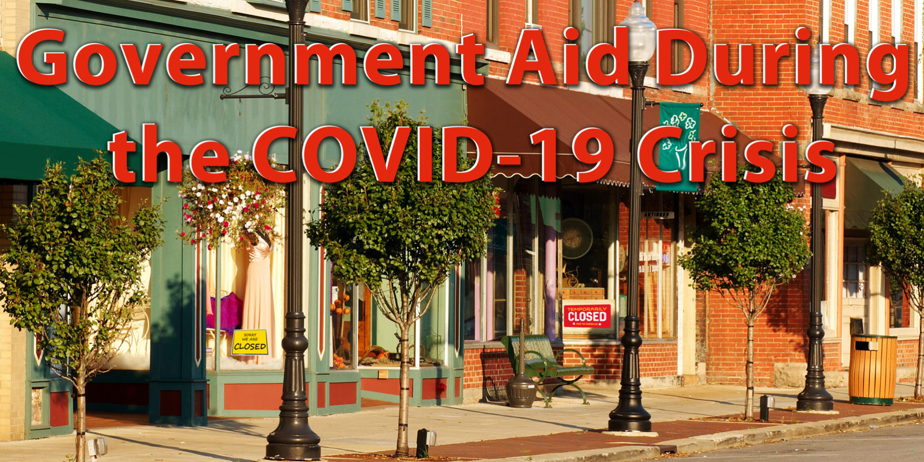 Government Aid during Covid-19 Government Aid During the COVID-19 Crisis